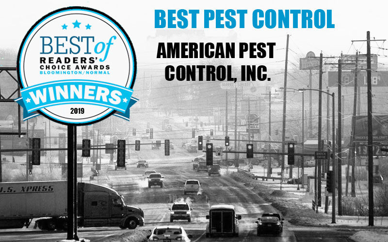 Best Pest Control